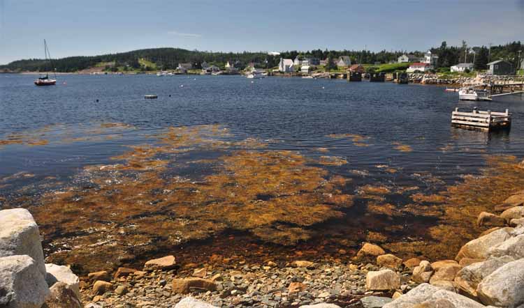 harbor